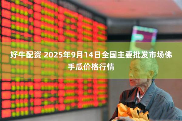 好牛配资 2025年9月14日全国主要批发市场佛手瓜价格行情