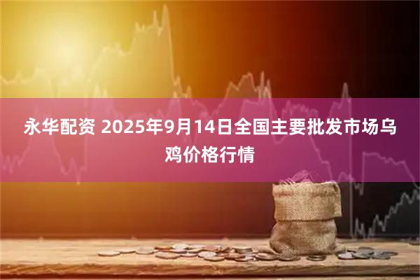 永华配资 2025年9月14日全国主要批发市场乌鸡价格行情
