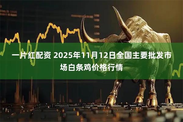 一片红配资 2025年11月12日全国主要批发市场白条鸡价格行情