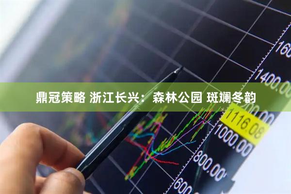 鼎冠策略 浙江长兴：森林公园 斑斓冬韵