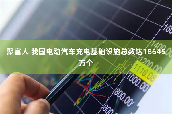 聚富人 我国电动汽车充电基础设施总数达18645万个